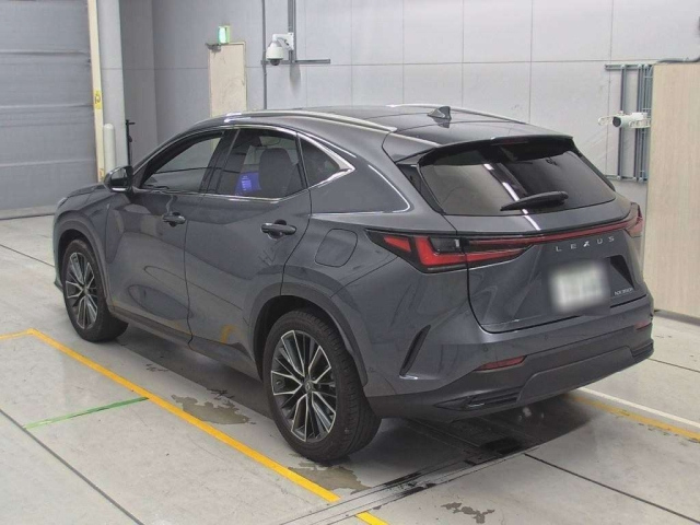 LEXUS NX 2022