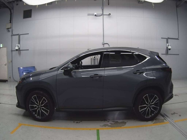 LEXUS NX 2022