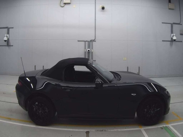 MAZDA ROADSTER 2019