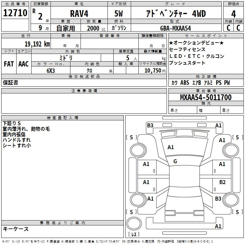 Аукционный лист TOYOTA RAV4 2020