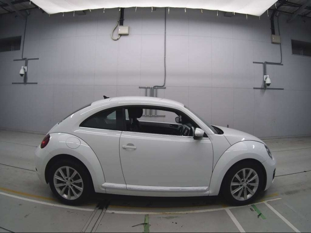 VOLKSWAGEN THE BEETLE 2019