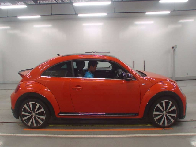 VOLKSWAGEN THE BEETLE 2019