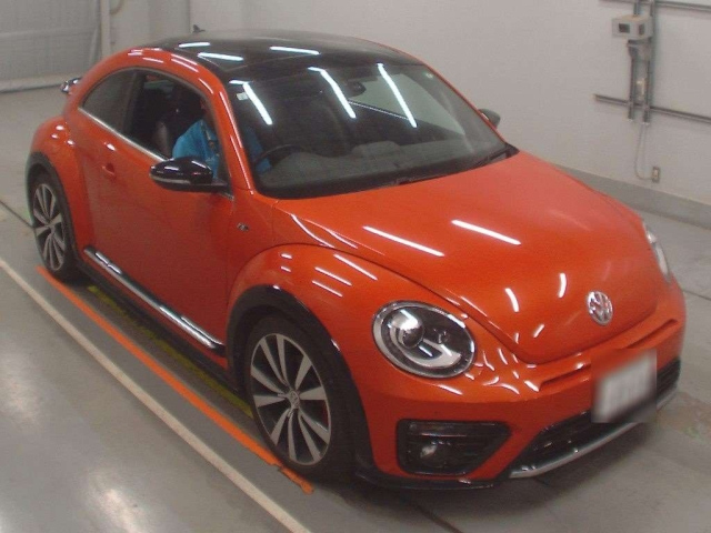 VOLKSWAGEN THE BEETLE 2019