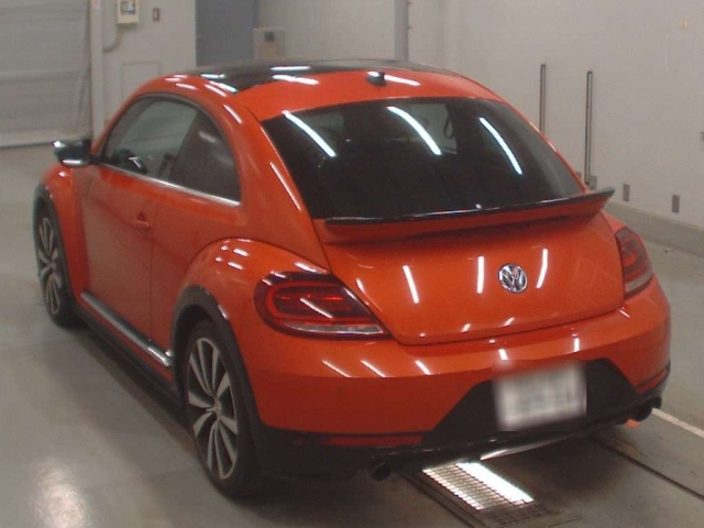 VOLKSWAGEN THE BEETLE 2019