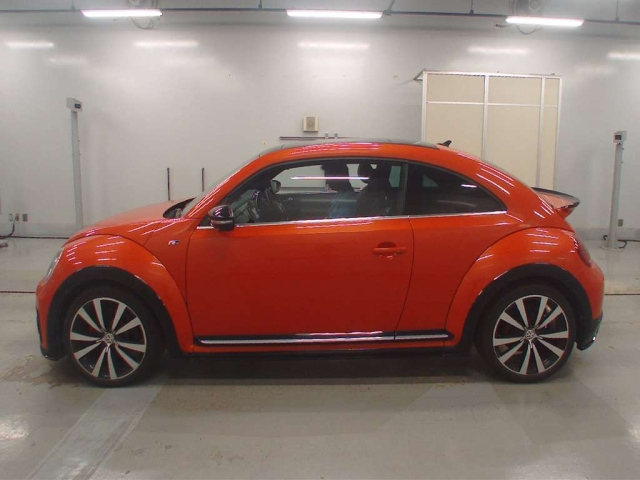 VOLKSWAGEN THE BEETLE 2019