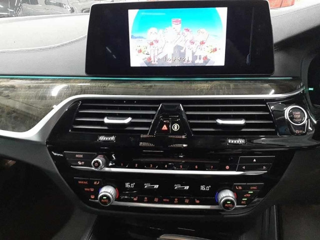 BMW 5 SERIES 2018