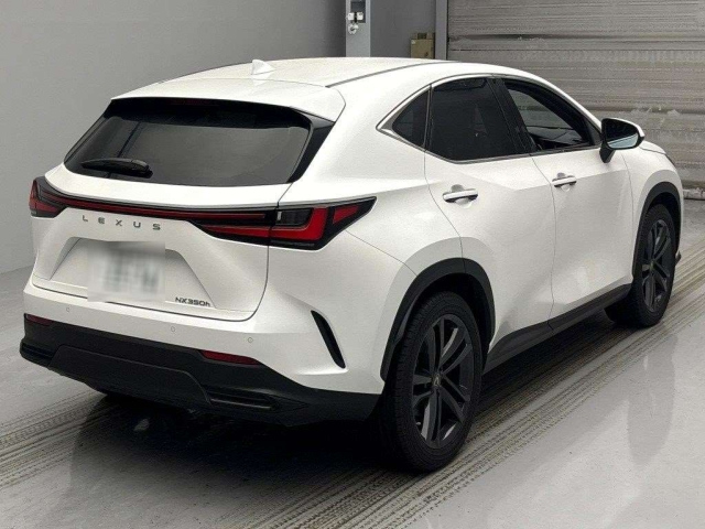 LEXUS NX 2023