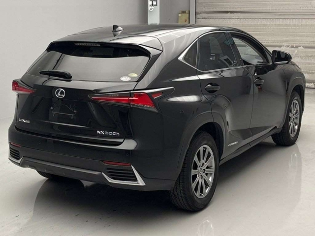 LEXUS NX 2020
