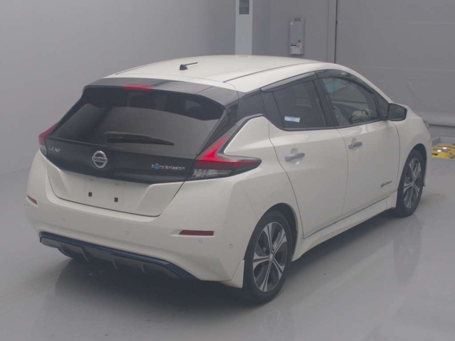 NISSAN LEAF 2018