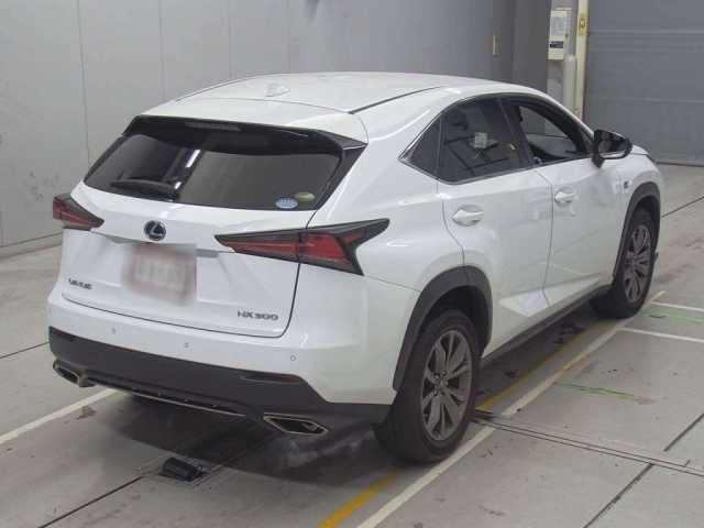 LEXUS NX 2019