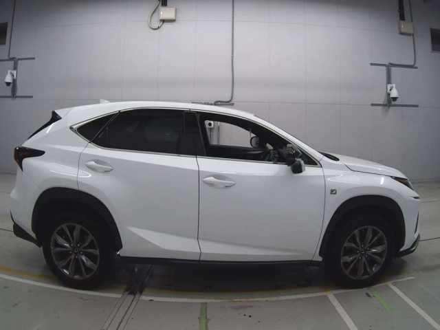 LEXUS NX 2019