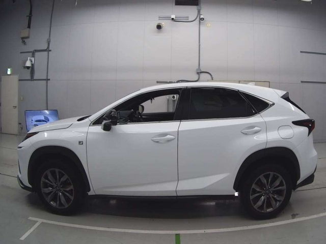 LEXUS NX 2019