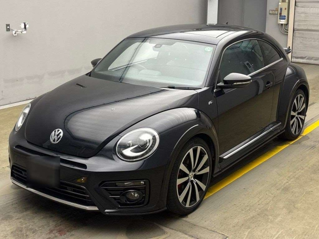 VOLKSWAGEN THE BEETLE 2019
