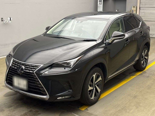 LEXUS NX 2019