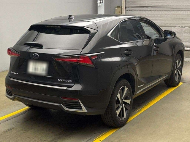 LEXUS NX 2019