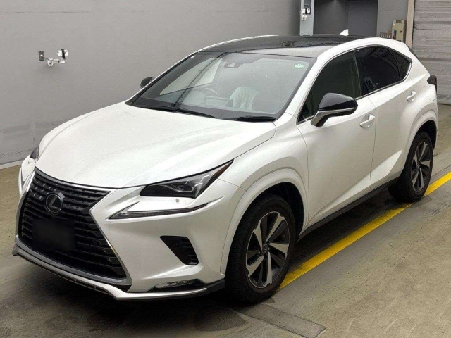 LEXUS NX 2020