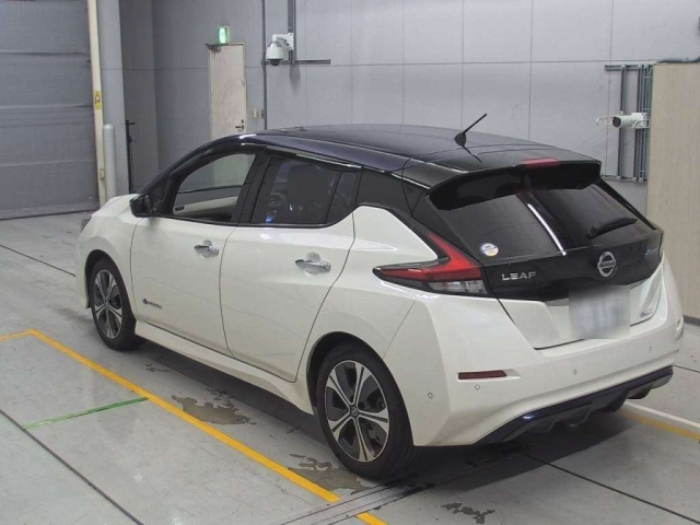 NISSAN LEAF 2019