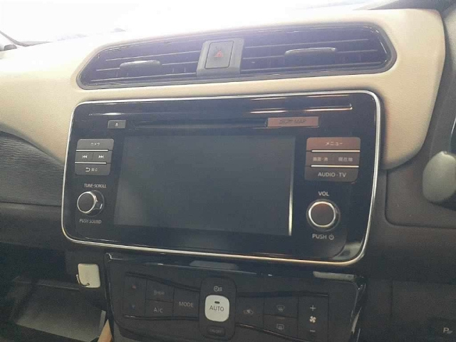 NISSAN LEAF 2019