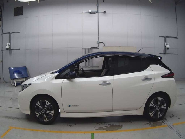 NISSAN LEAF 2019