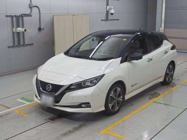NISSAN LEAF 2019