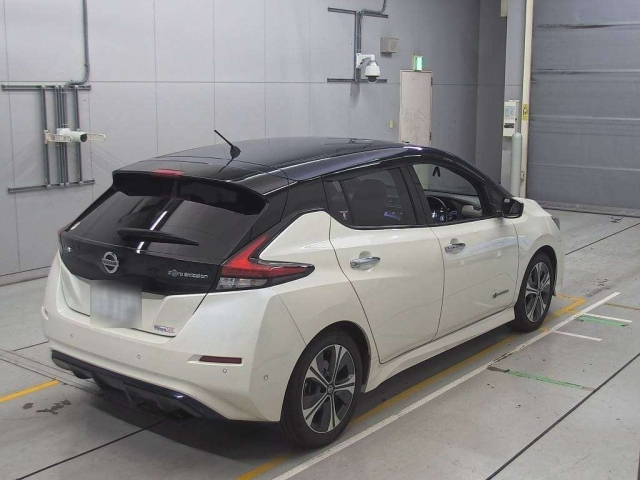 NISSAN LEAF 2019