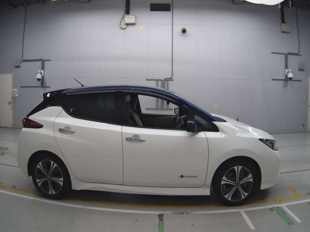 NISSAN LEAF 2019