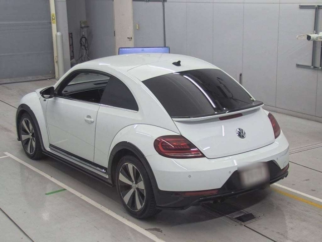 VOLKSWAGEN THE BEETLE 2019