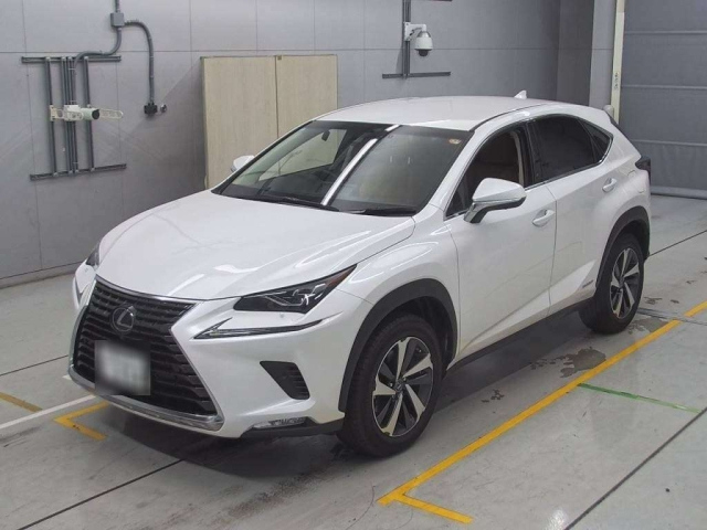 LEXUS NX 2019