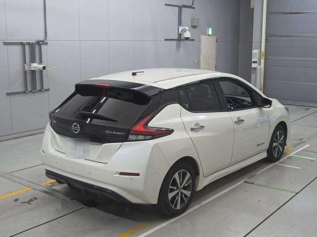 NISSAN LEAF 2019