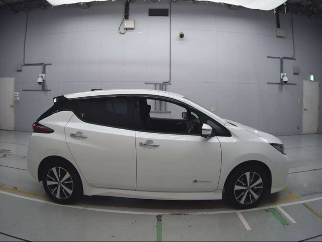 NISSAN LEAF 2019