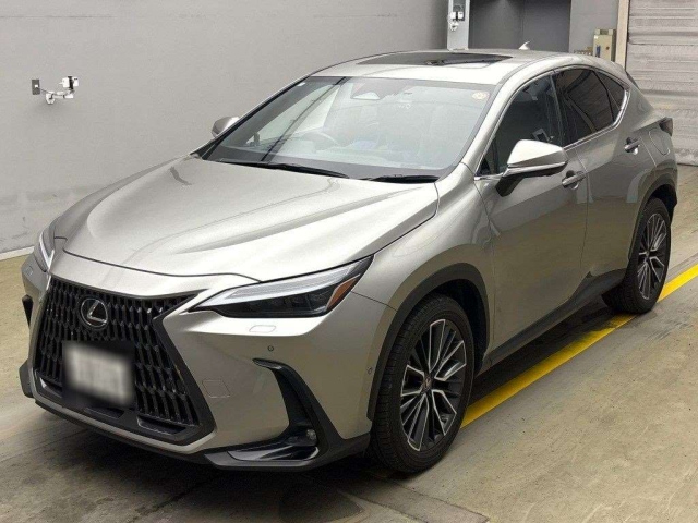 LEXUS NX 2022
