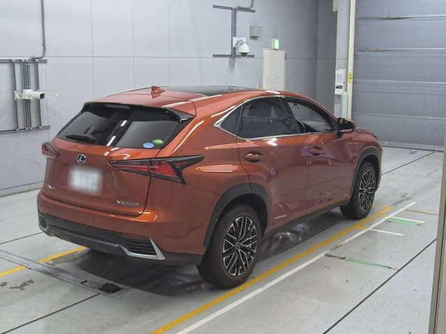 LEXUS NX 2020