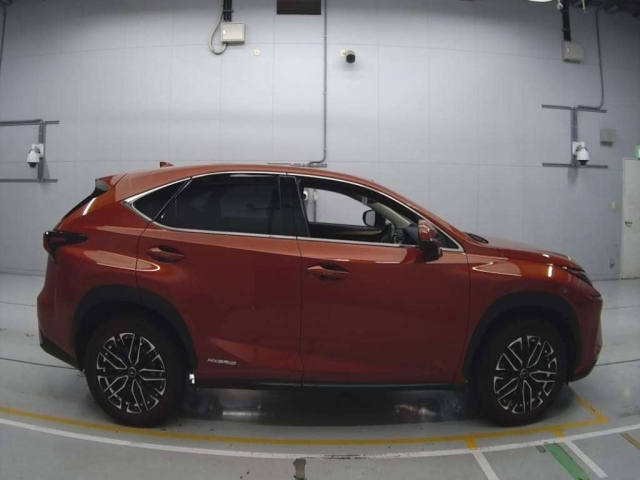 LEXUS NX 2020