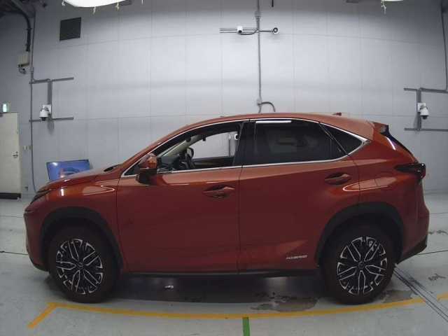 LEXUS NX 2020