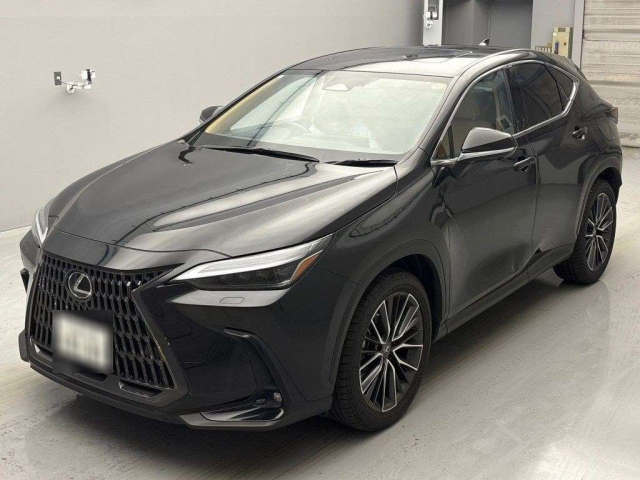 LEXUS NX 2022