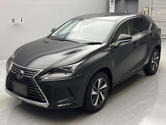 LEXUS NX 2019
