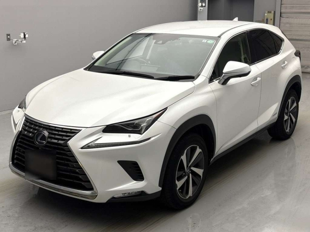 LEXUS NX 2019