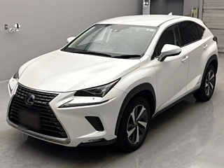 LEXUS NX 2019