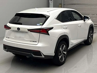 LEXUS NX 2019