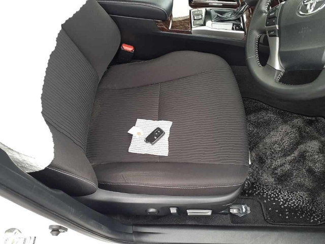 TOYOTA MARK X 2019