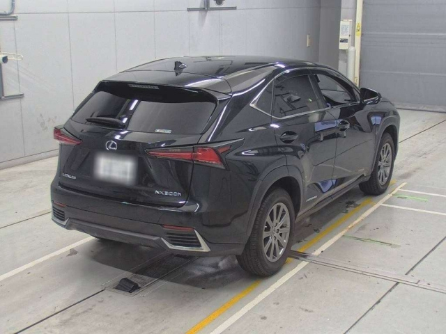 LEXUS NX 2019