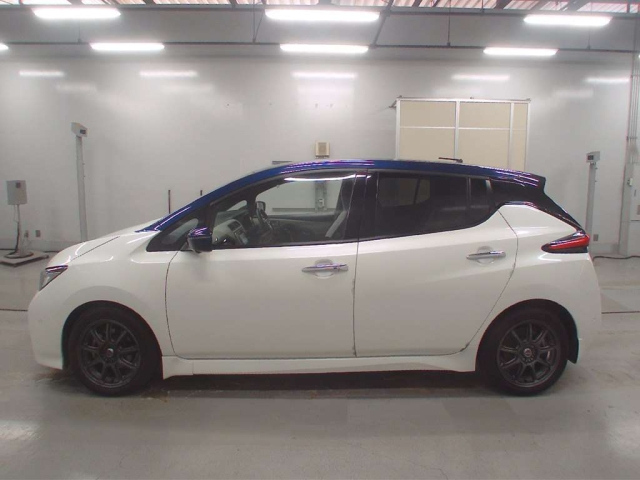 NISSAN LEAF 2018