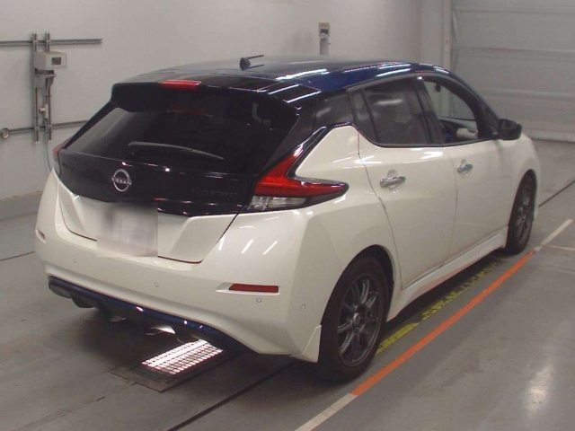 NISSAN LEAF 2018