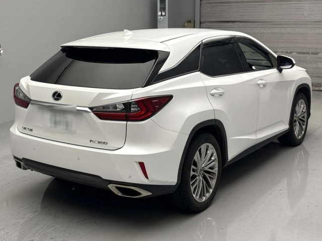 LEXUS RX 2019