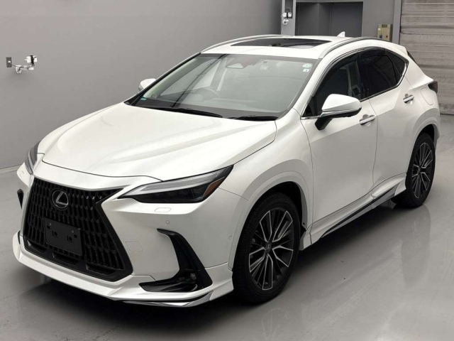 LEXUS NX 2022