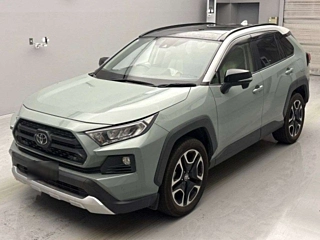 TOYOTA RAV4 2019