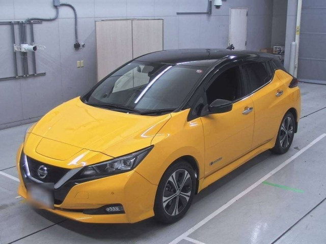 NISSAN LEAF 2018