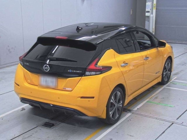 NISSAN LEAF 2018