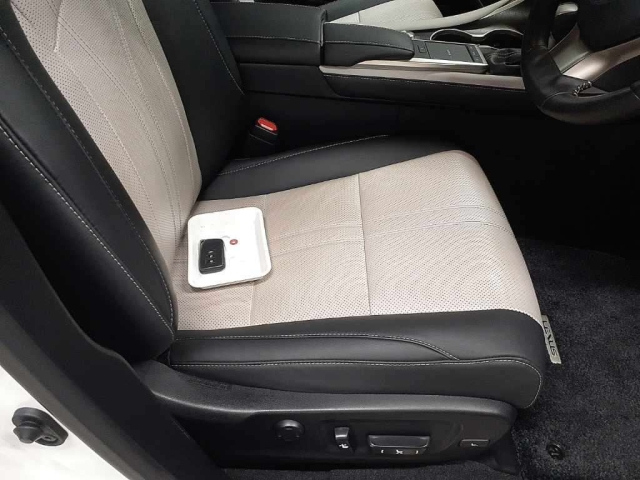 LEXUS RX 2022
