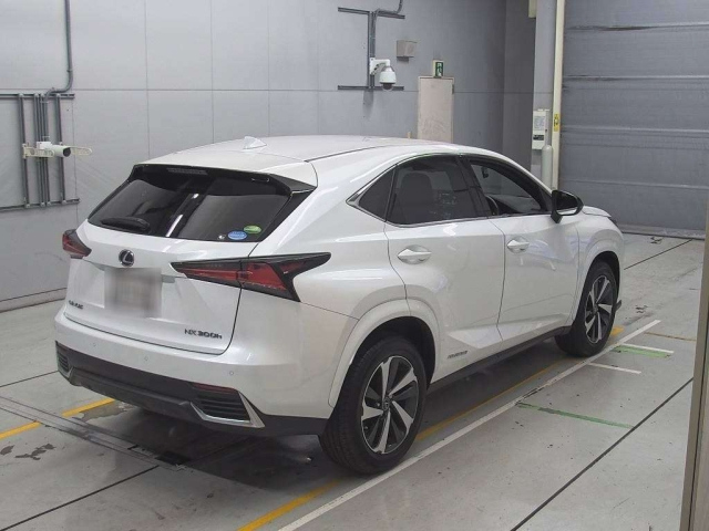LEXUS NX 2020